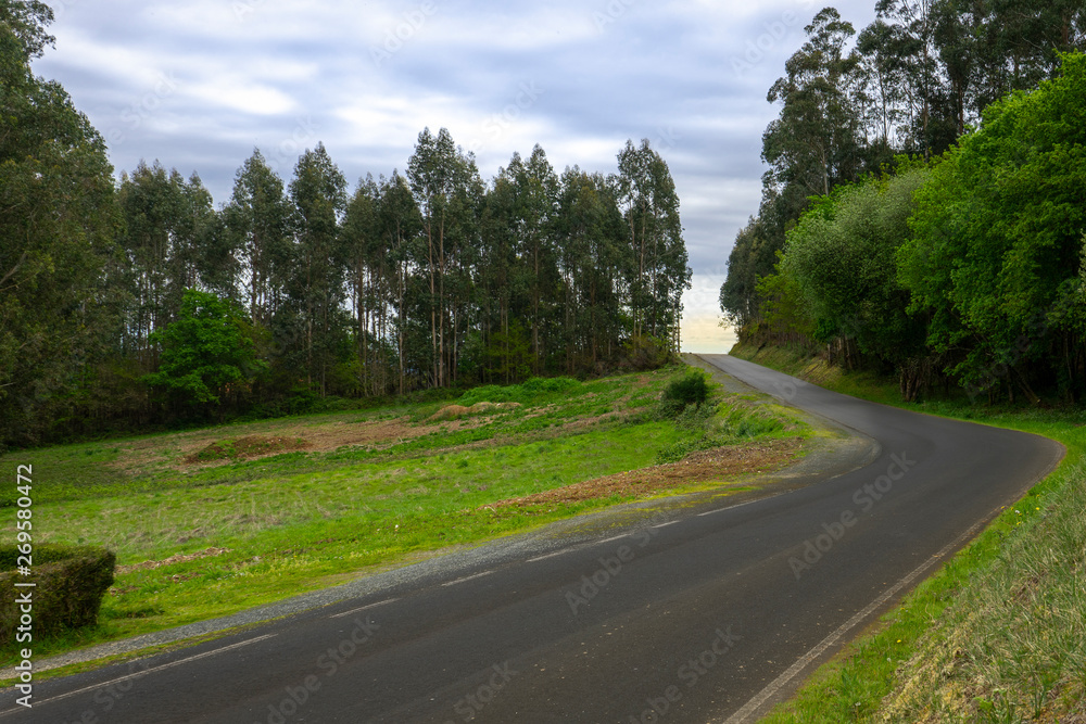 Fototapeta premium Paved road with sharp curves in a forest in a small town in A Coruña Spain.