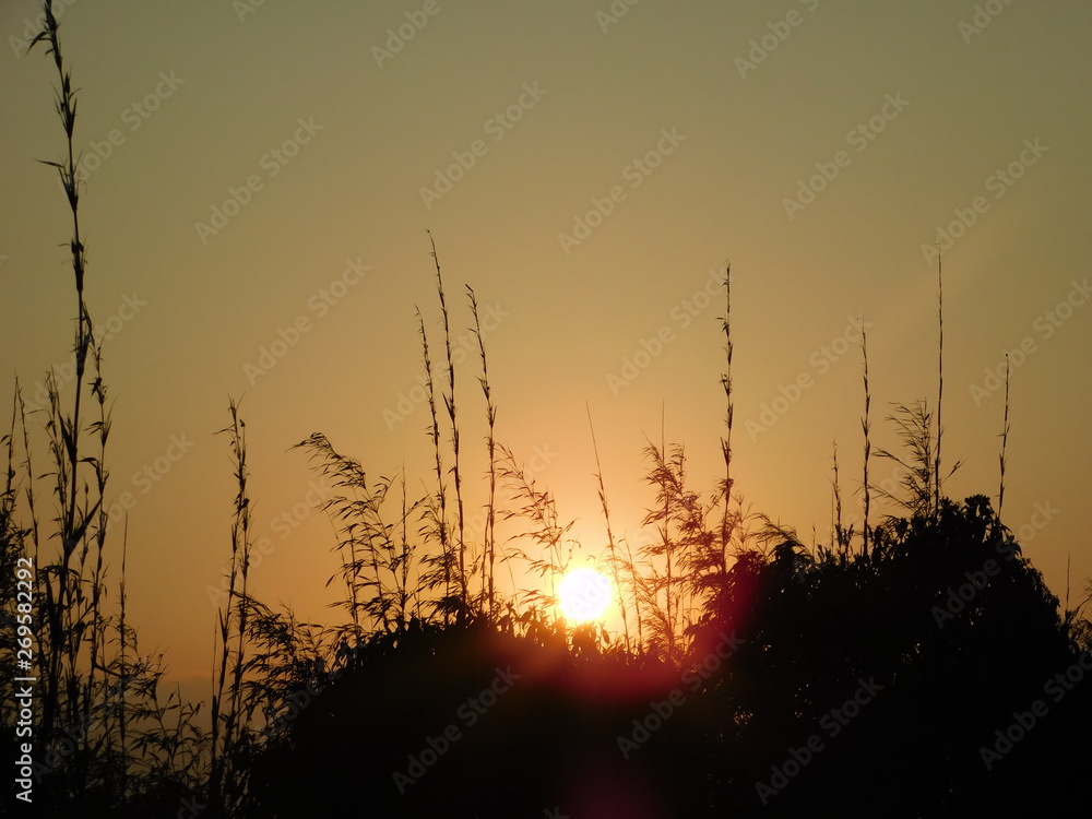 Fototapeta premium Sunrise beauty