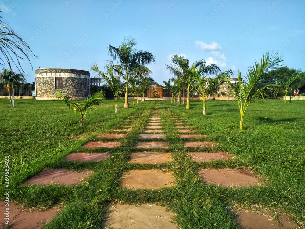 Foot Pathway in the garden 