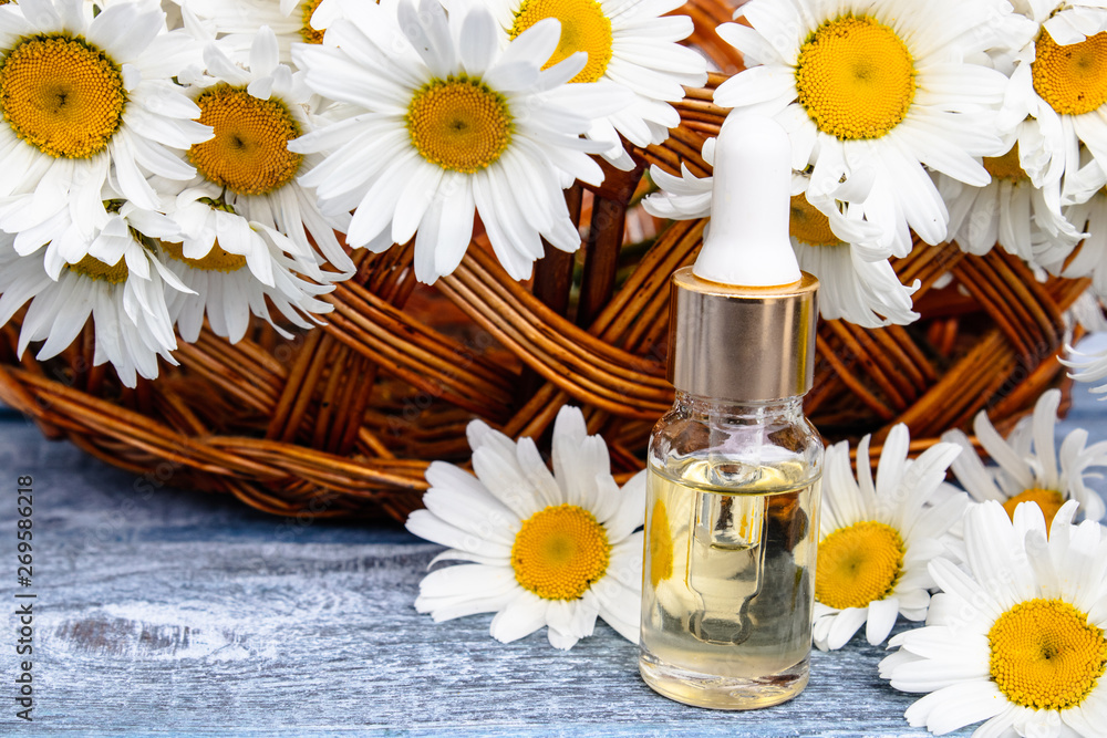 Chamomile essential oil in a glass bottle stands on wooden boards near the basket with chamomile flowers. Chamomile essential oil in a glass bottle stands on wooden boards near the basket with chamomile flowers.