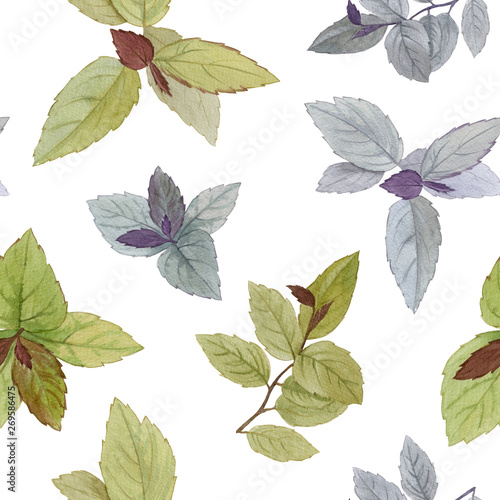 Seamless watercolor. A set of leaves for design. Watercolor painted autumn leaves. Design element. Elegant leaves for art design.