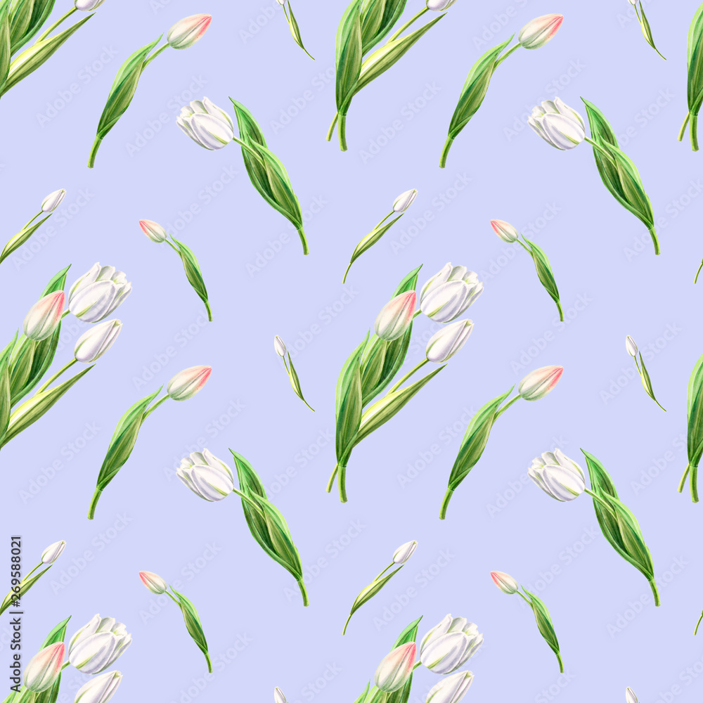 Seamless pattern from beautiful white tulips. Floral collection. Marker drawing. Watercolor painting. Floral composition of design elements. Greeting card. Painted background. Hand drawn illustration. Seamless pattern from beautiful white tulips. Floral collection. Marker drawing. Watercolor painting. Floral composition of design elements. Greeting card. Painted background. Hand drawn illustration.