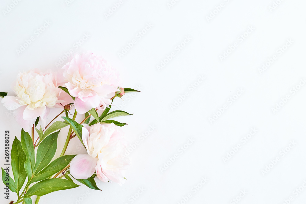 Flat lay composition with light pink peonies on a white background