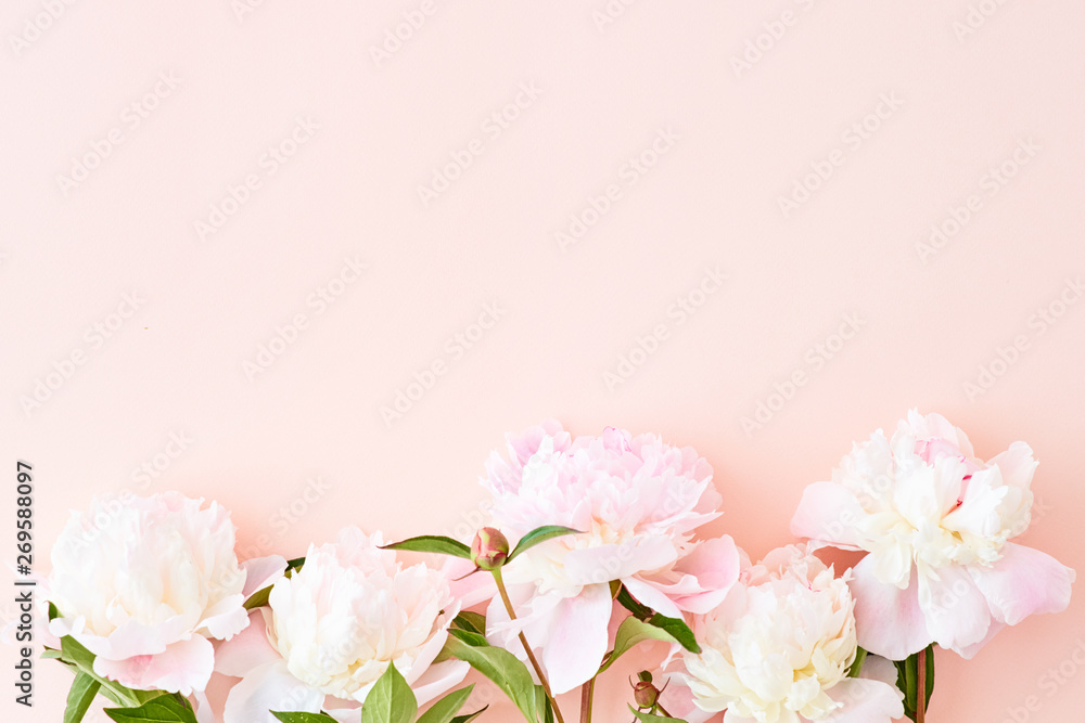 Flat lay pattern with light pink peonies on a pink background