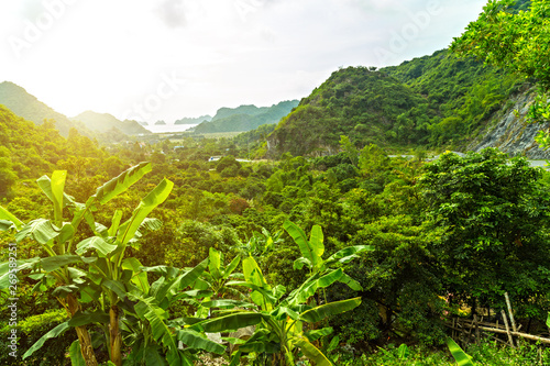 Tropical Rainforest Landscape jungle and mountains