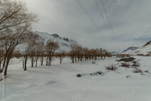 Landscape of dry tree in winters in himalayas photo