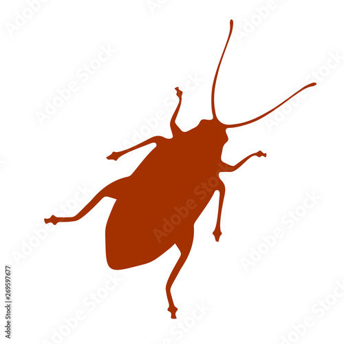 Cockroach vector icon