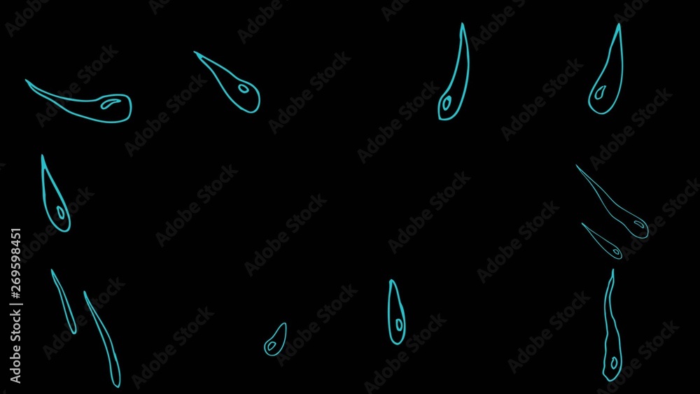 Bubbles Animation Pack Stock Template | Adobe Stock