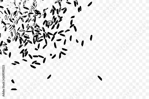 White rice in black on transparent background. Organic texture. Silhouette of rice flakes, spread on the flat surface or table. Top view. Vector.