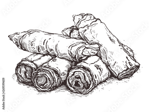 FIllustration fried Chinese Traditional Spring rolls food.Sketch.Asian cuisine restaurant menu or recipe.