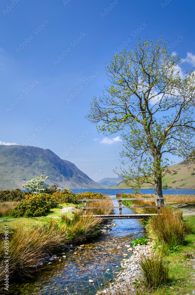 Crummock Water with the water running in from Buttermere. Showing the single foot bridge and lone tree. Crummock Water with the water running in from Buttermere. Showing the single foot bridge and lone tree.