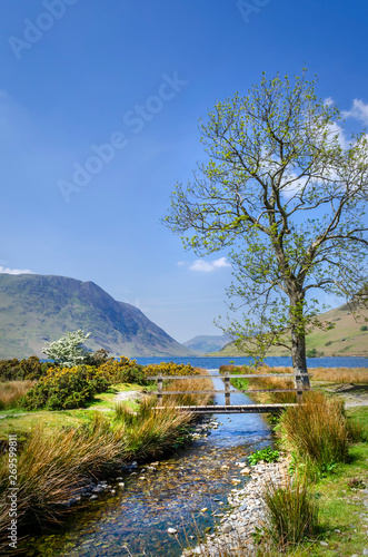 Crummock Water with the water running in from Buttermere. Showing the single foot bridge and lone tree. 