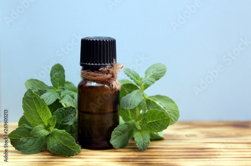 Fototapeta Naklejka Na Ścianę i Meble -  A bottle of oil and a sprig of mint is on the table