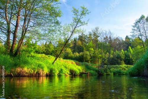 Spring river. Green nature landscape on riverbank. Scenic riverside with green trees © dzmitrock87