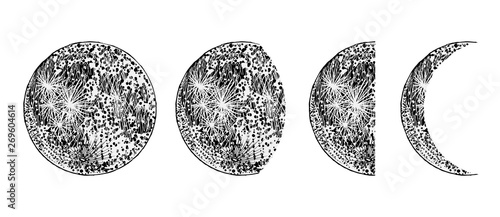 Realistic moon phases image on white background. Hand drawn cycle of moon phases. Vector