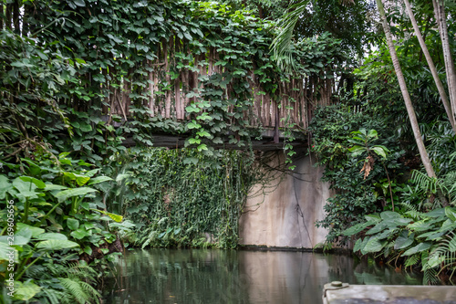 Tropical Forest inside a greenhouse representing Gondwanaland.