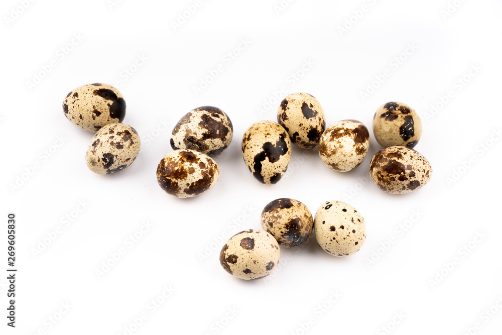quail eggs on white background quail eggs on white background