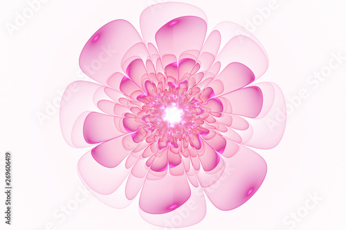 Fractal Flowers Fantasy