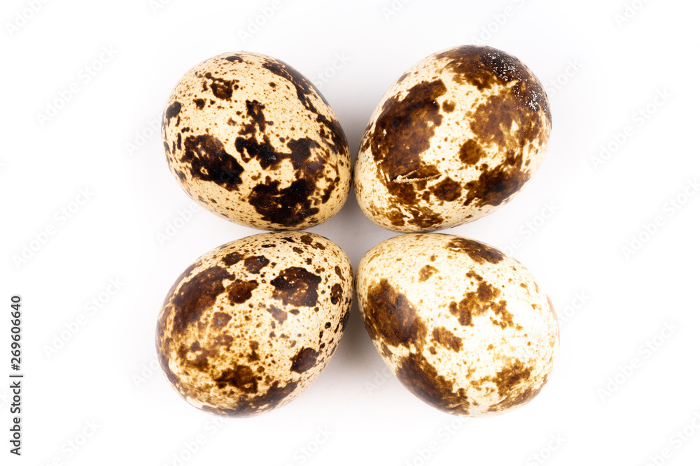 quail eggs on white background quail eggs on white background