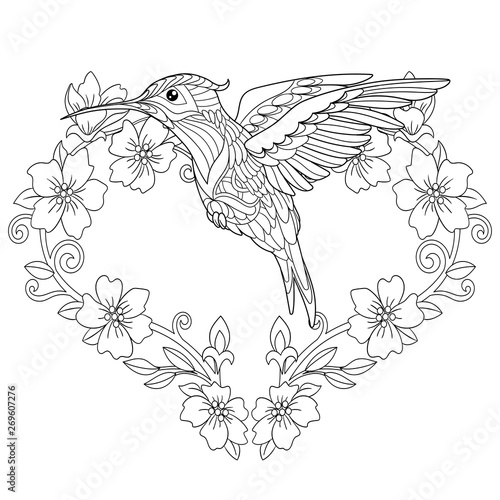 hummingbird coloring page in zentangle style