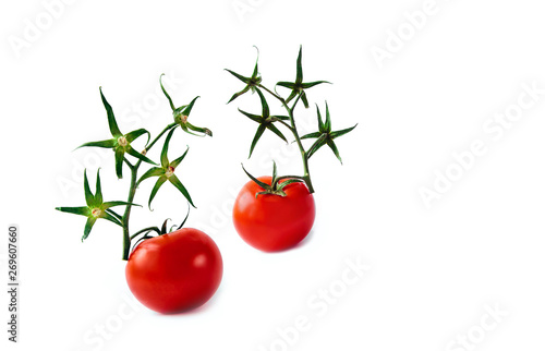 Ripe red tomato white background green branch twig dry one isolate star flower