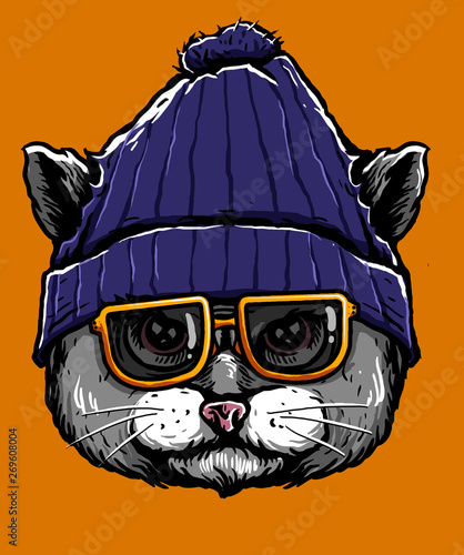 cool cat