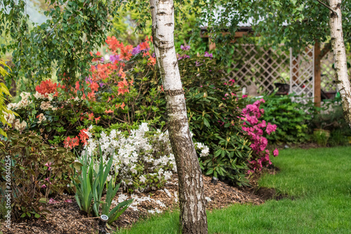 Fototapeta Naklejka Na Ścianę i Meble -  Piękny wiosenny ogród