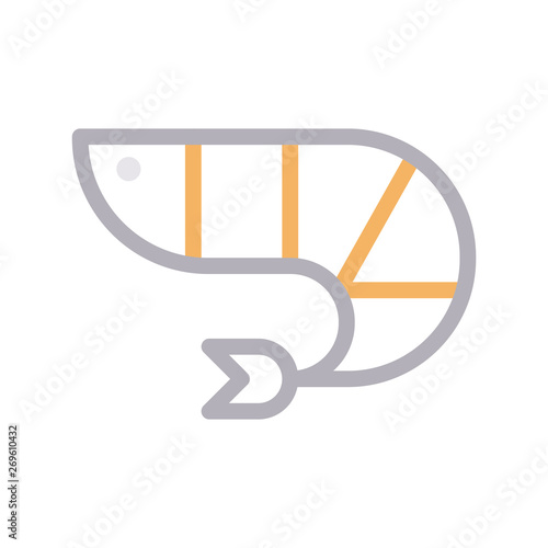 insect