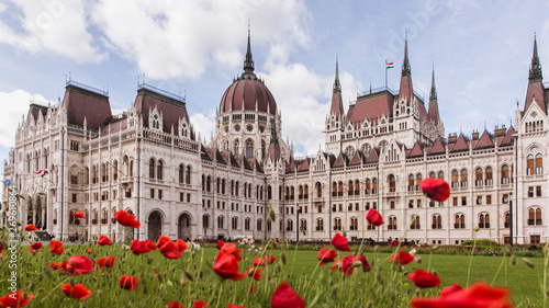 Poppy flowers with View of the Hungarian Parliament in Budapest
