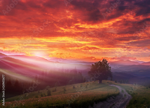 fantastic colorful landscape. overcast clouds glowing in sunligt over the mountain meadov. picturesque nature view.