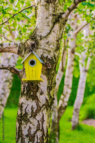 Fototapeta Naklejka Na Ścianę i Meble -  wooden birdhouse on a tree