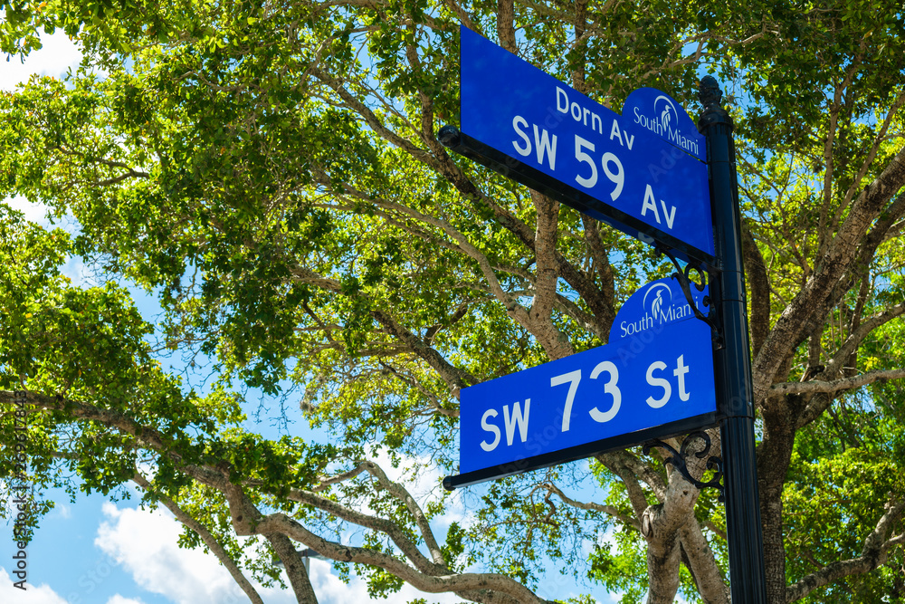 Fototapeta premium South Miami Cityscape