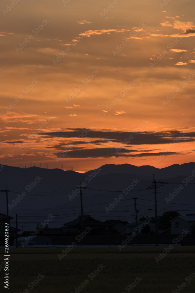夕日 夕日