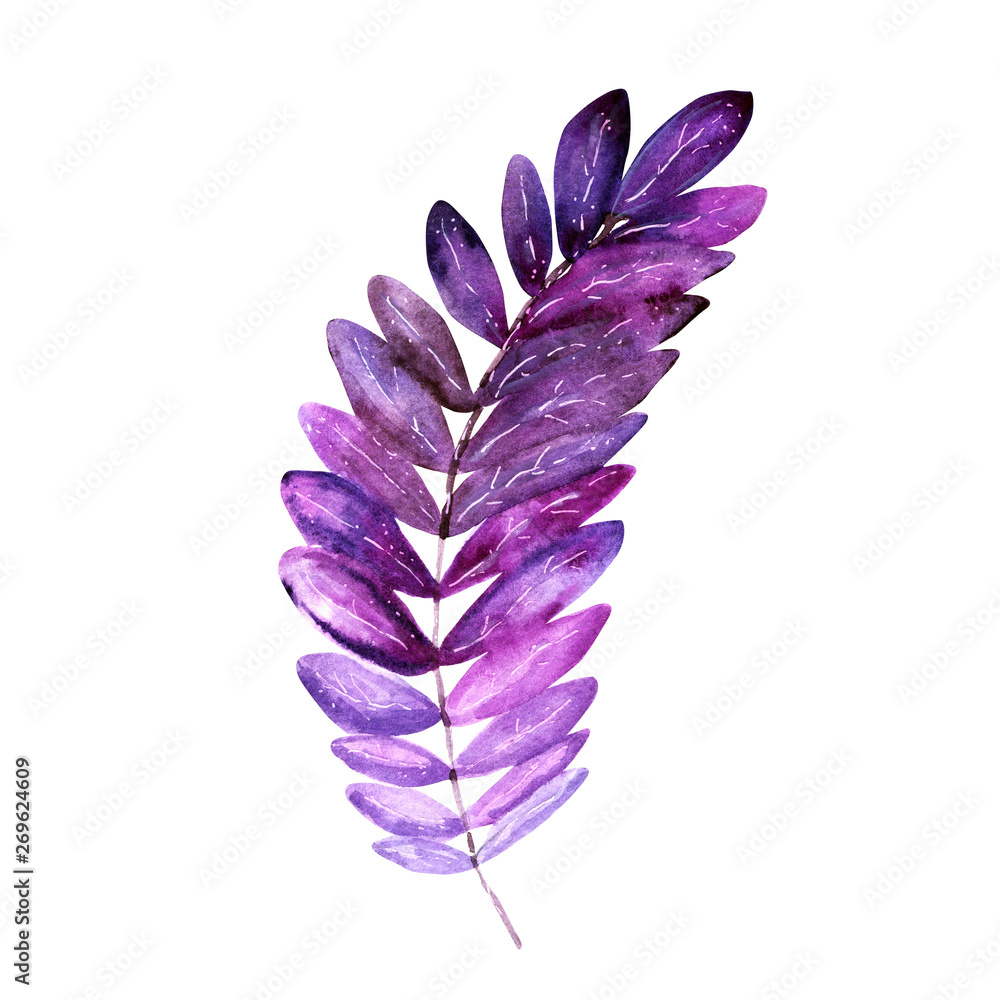violet tropical leaf violet tropical leaf