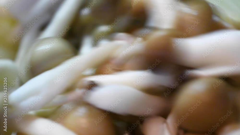 カレーを作る
