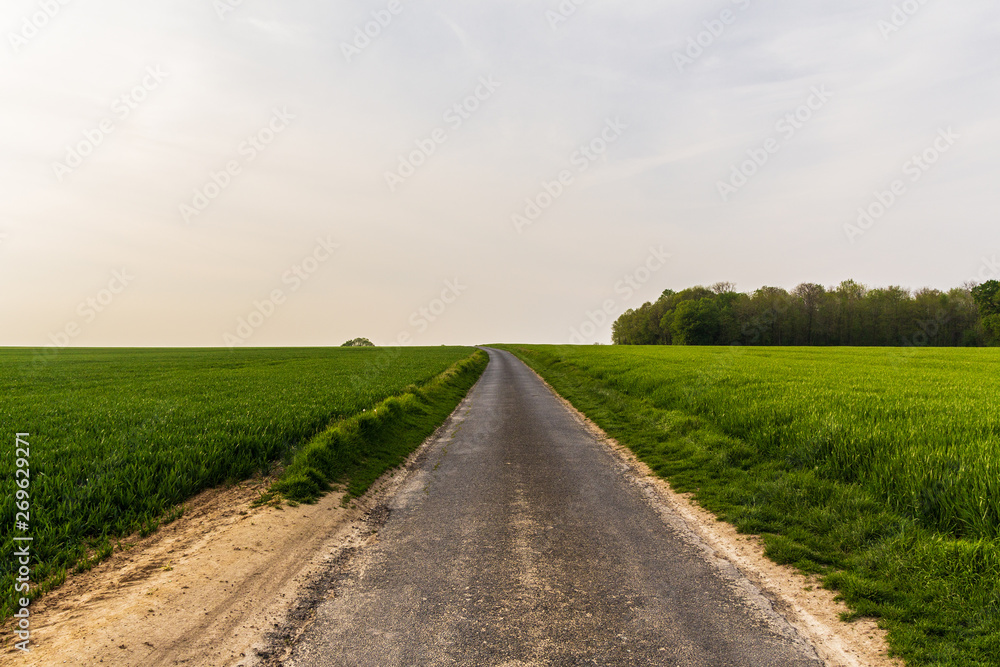 Country lane in Northern France