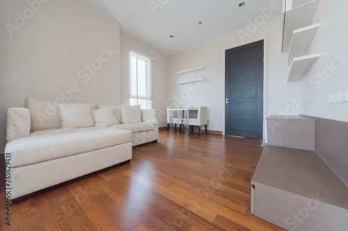 Bright living room with sofa.