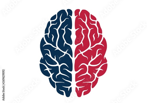 human brain icon colored isolated vector image