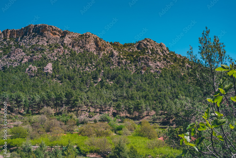Spanish scenery,hills and blue sky. Mediterranean landscape, woods and mountains. Pines.