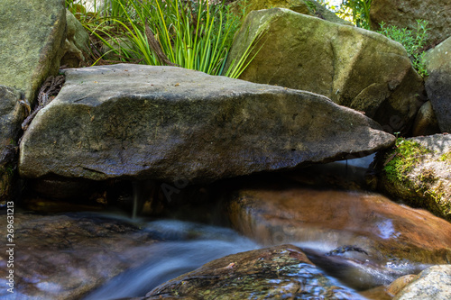 stream in the forest