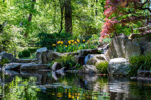 wooden bridge in japanese garden