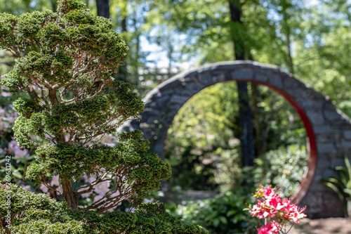 bridge in garden