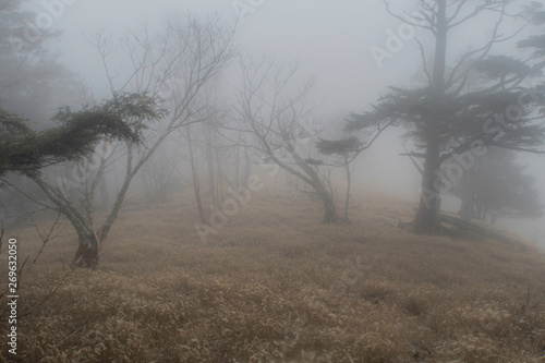 霞む尾根