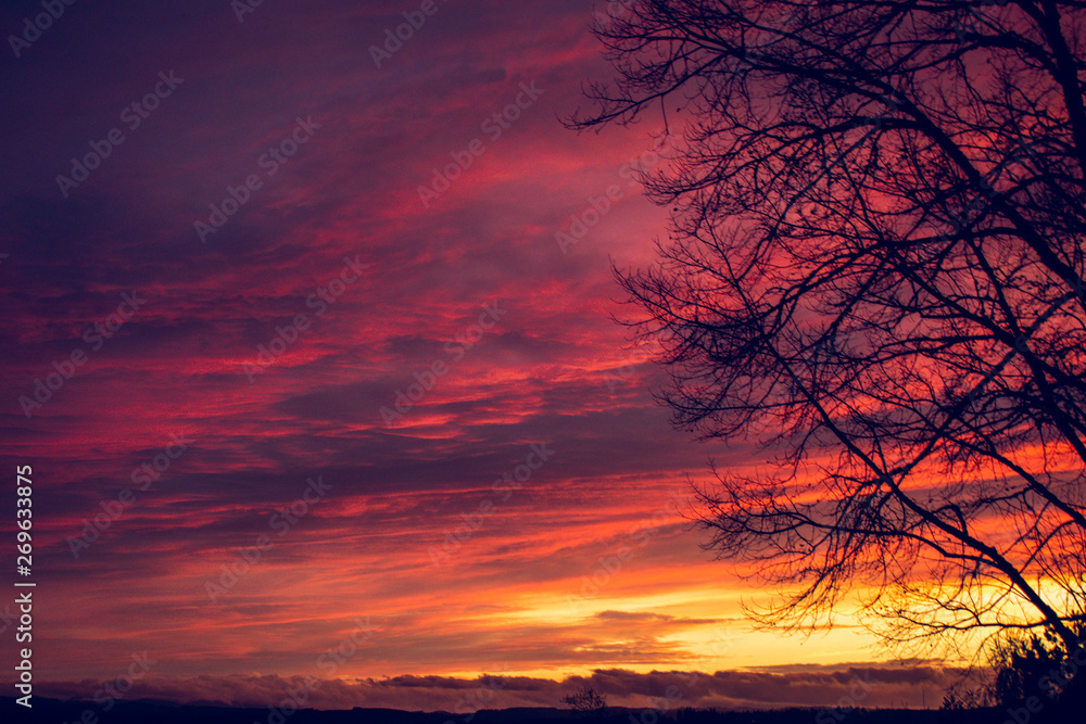 Obraz premium Spring Sunset