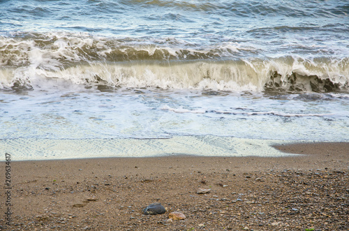 Wallpaper Mural Colorful seascape, view of sea waves on sand beach Torontodigital.ca