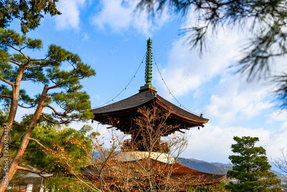 Obraz premium temple in Japan