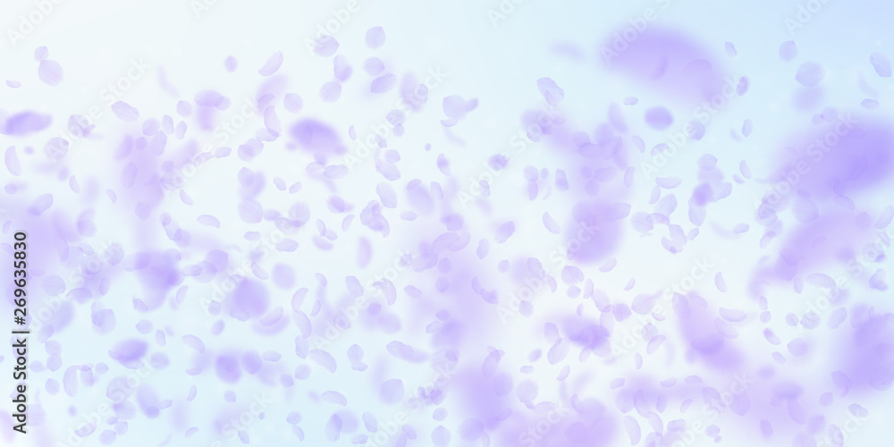 Violet flower petals falling down. Powerful romant Violet flower petals falling down. Powerful romant