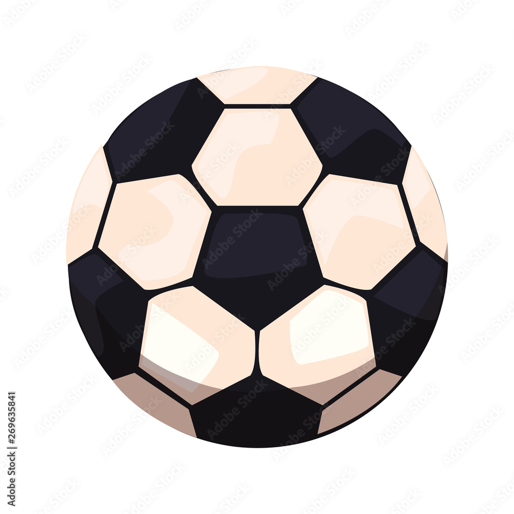 Fototapeta premium soccer ball sport