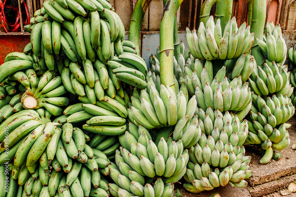 Fresh and healthy: bananas in a large variety at a market stand in Yangon, Myanmar. Tasty bananas of different colors: yellow, green, red, maroon. Bananas on a bamboo branch.