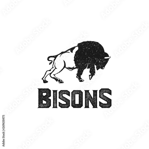 Bisons Logo Inspiration